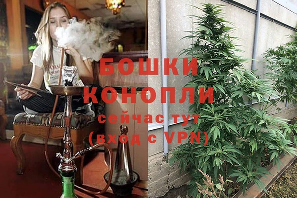прущий лед Белоозёрский